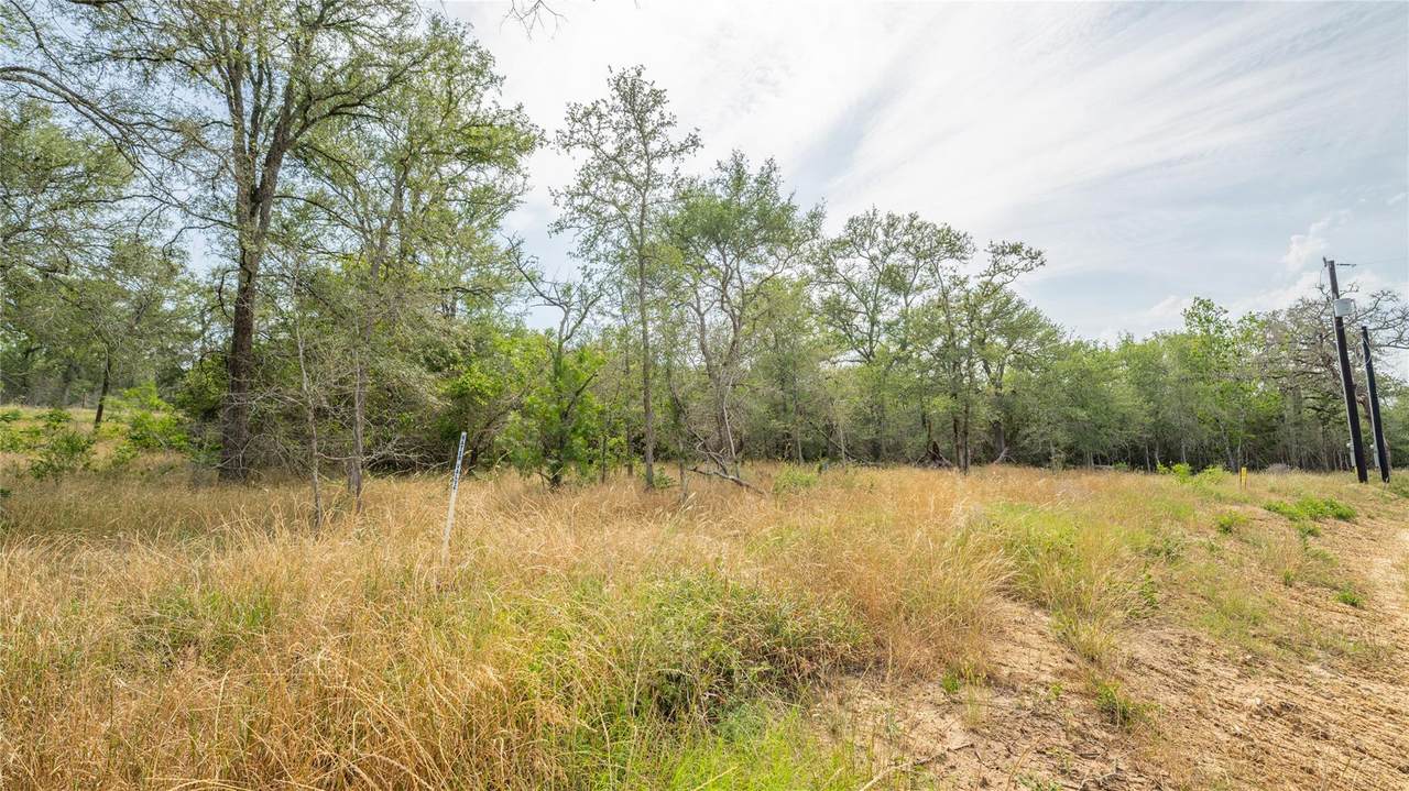 960 Ferguson Loop - Photo 1