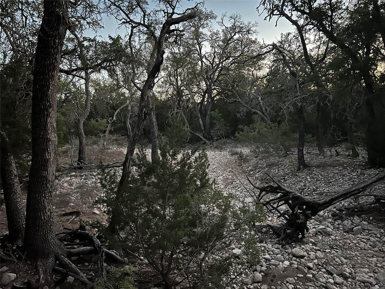 TBD County Road 450 - Photo 1