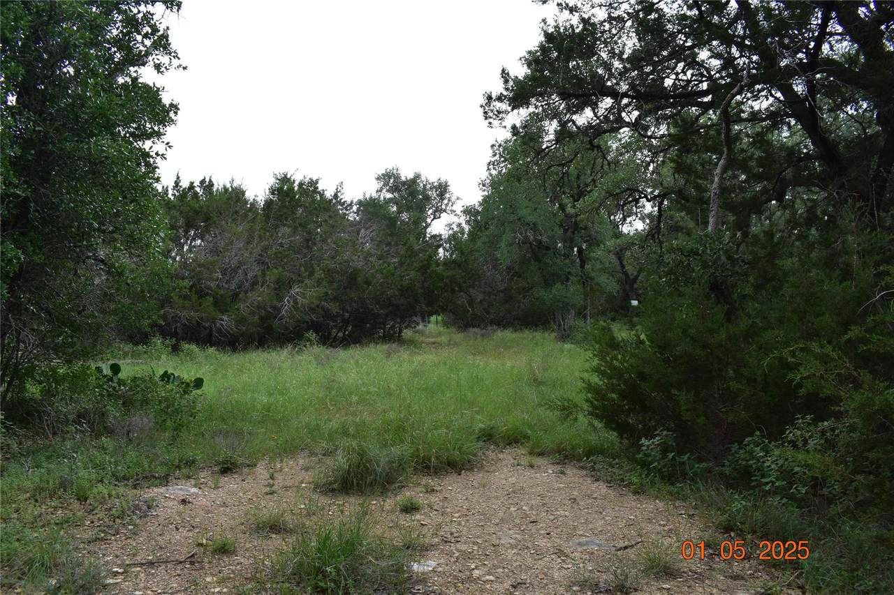 2315 Haven Bluff Ct - Photo 1