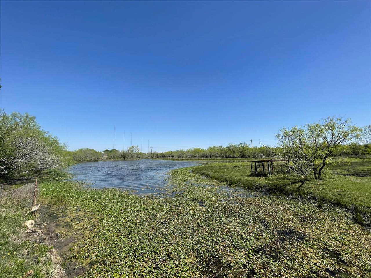 11319 Doyle Overton Rd - Photo 1