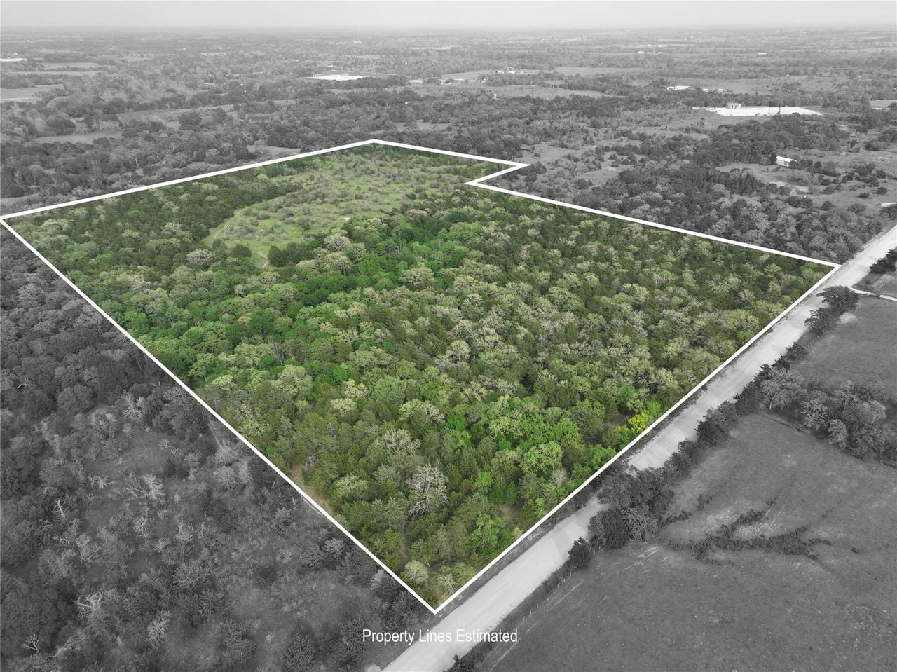 TBD (43.65 Acres) County Road 126 - Photo 1