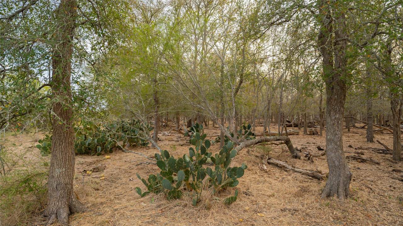 3980 (Tract 5) Fm 3158 - Photo 1