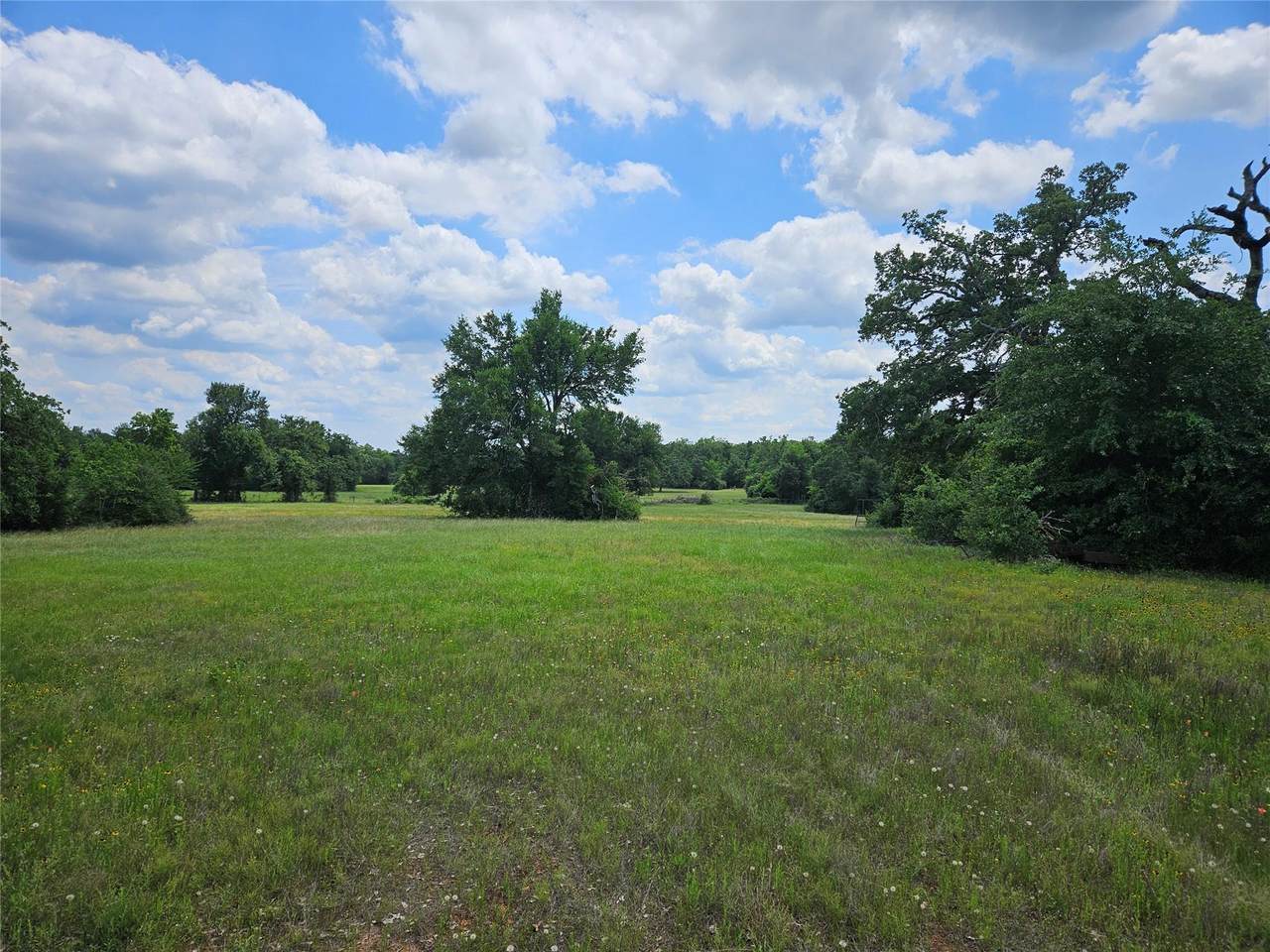 000 TBD Cr 346 Rd - Photo 1
