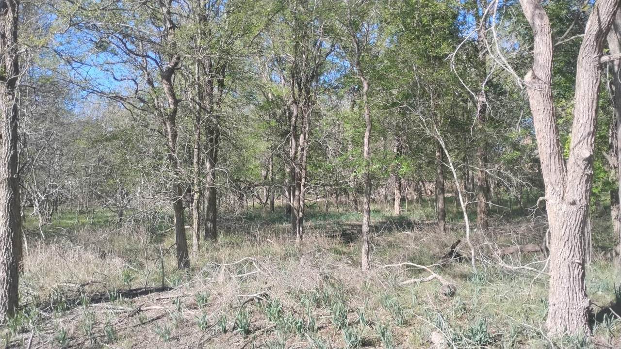 130 Keomuku Ln - Photo 1