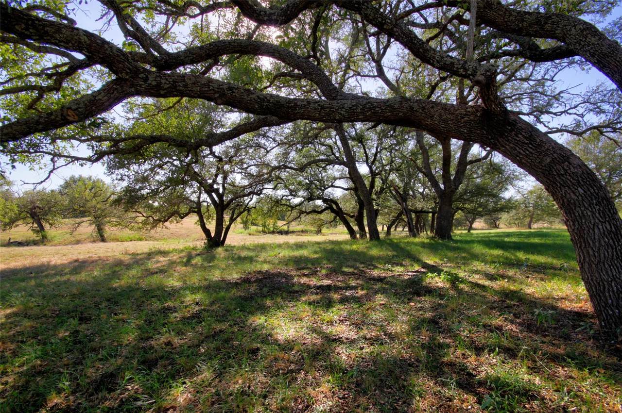 https://bt-photos.global.ssl.fastly.net/austin/1280_boomver_1_6171237-2.jpg