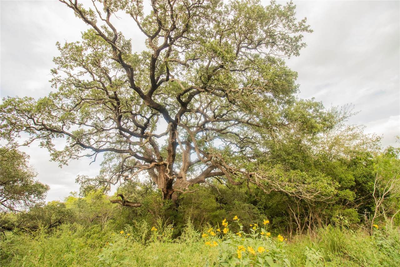 862 Dowdy Rd - Photo 1