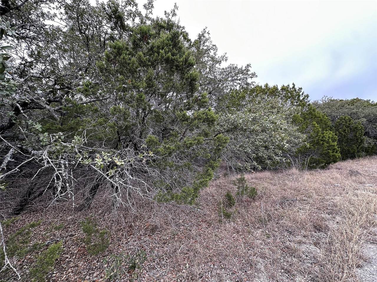 https://bt-photos.global.ssl.fastly.net/austin/1280_boomver_1_6329905-2.jpg