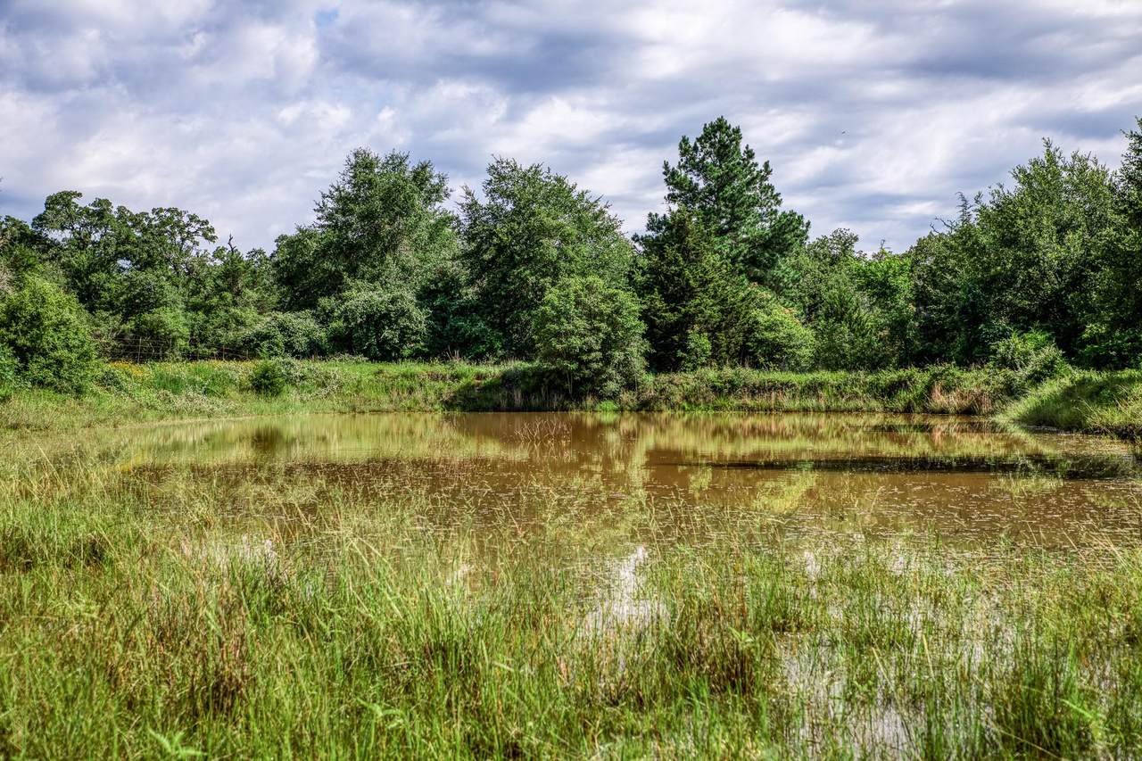 9808 Fm 908 - Photo 1