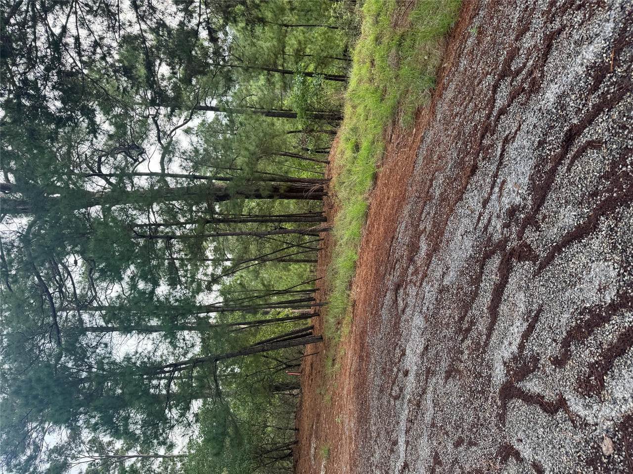 Lot 1492 Haleakala - Photo 1