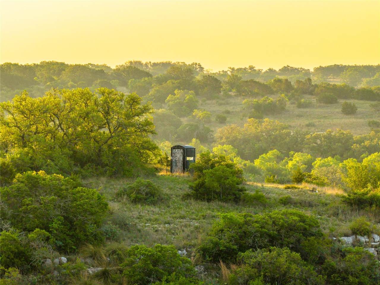 https://bt-photos.global.ssl.fastly.net/austin/1280_boomver_1_6474234-2.jpg