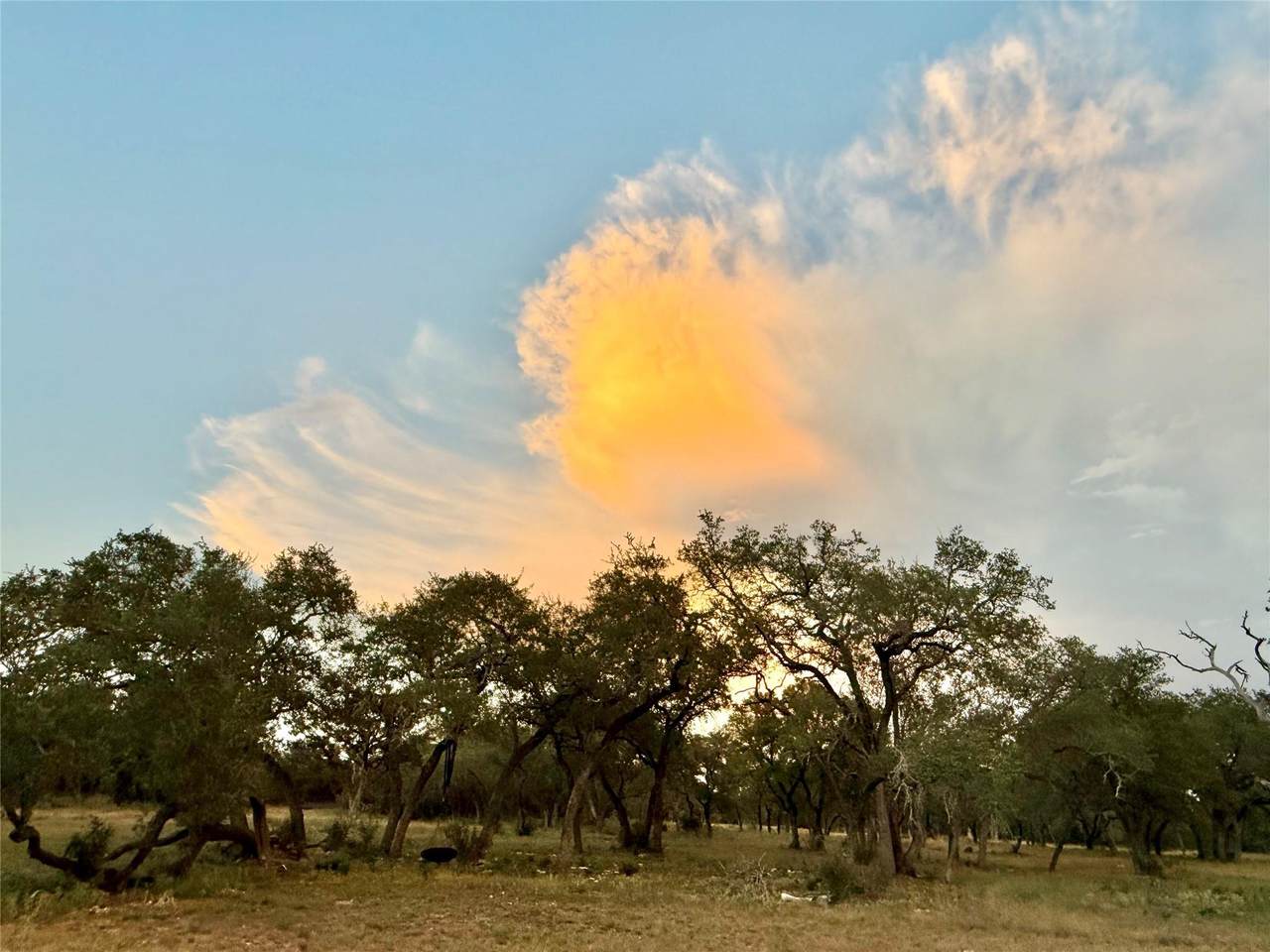https://bt-photos.global.ssl.fastly.net/austin/1280_boomver_2_6517978-2.jpg