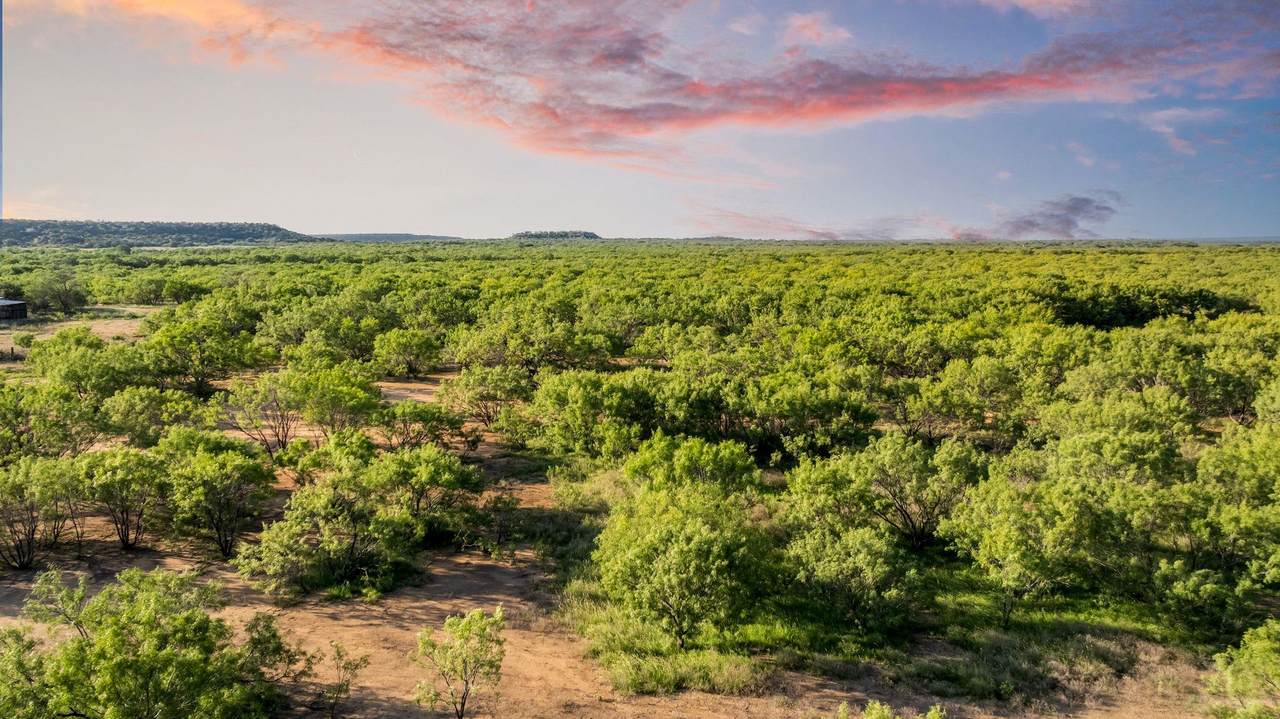 2186 Fm 1028 - Photo 1