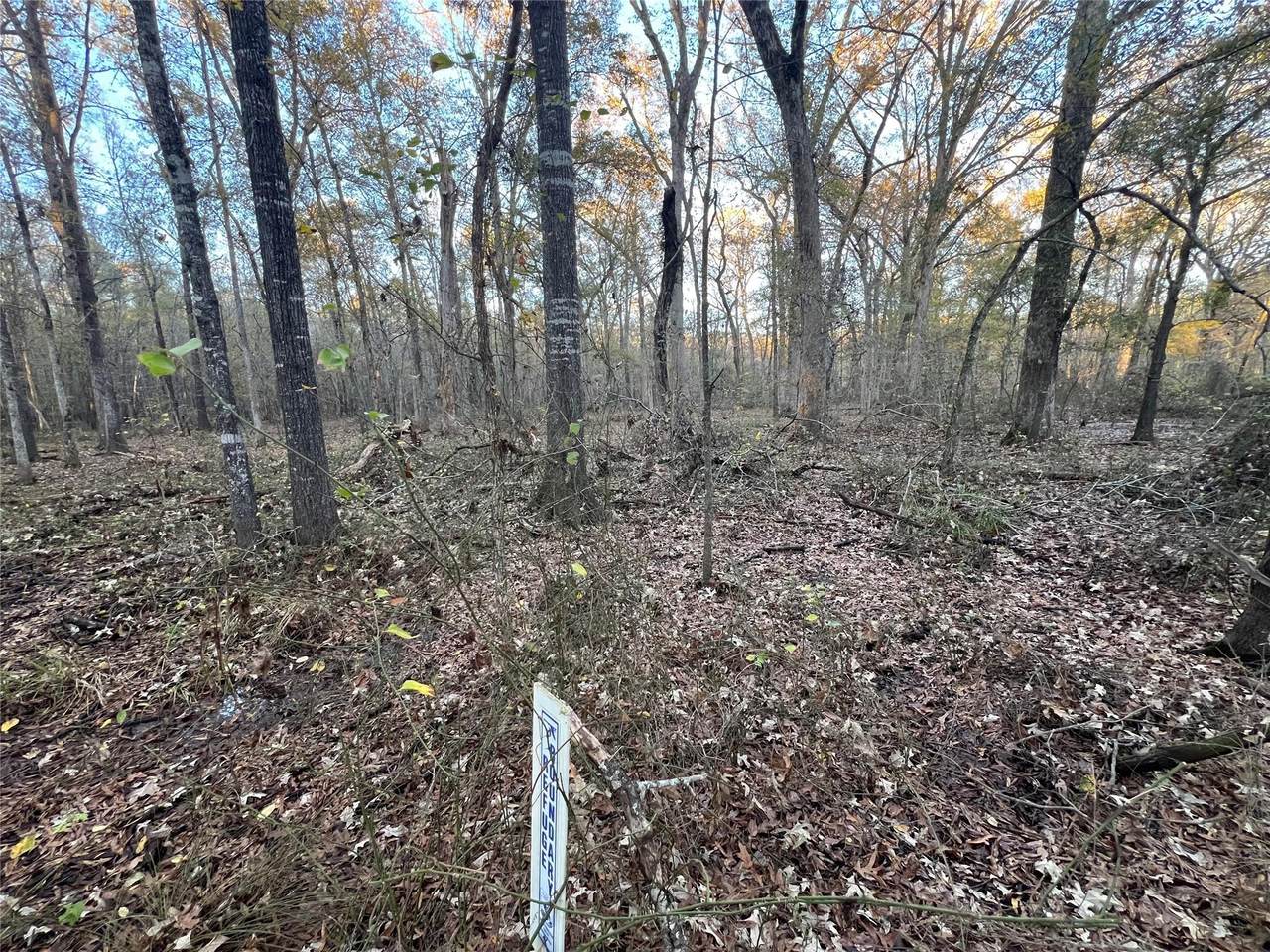 0 An County Road 354 - Photo 1