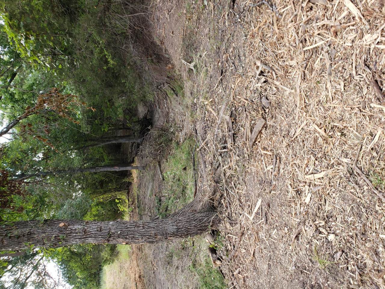 Lot 44 County Road 3640 - Photo 1