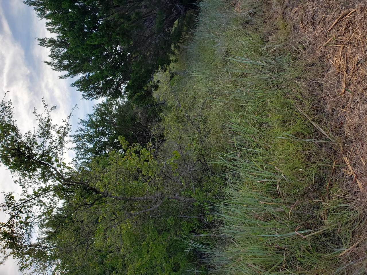 https://bt-photos.global.ssl.fastly.net/austin/1280_boomver_1_6601661-2.jpg