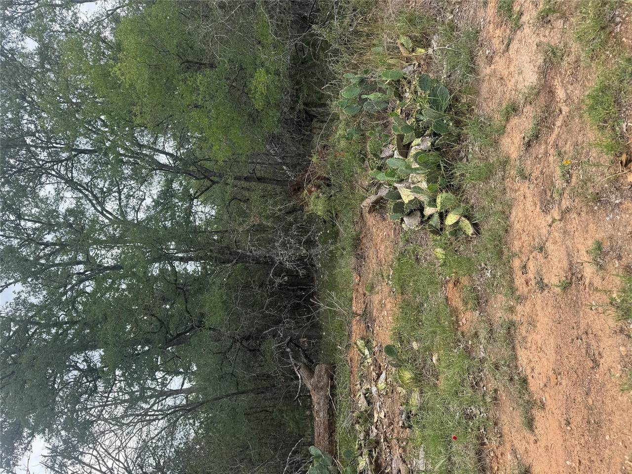 https://bt-photos.global.ssl.fastly.net/austin/1280_boomver_1_6608431-2.jpg