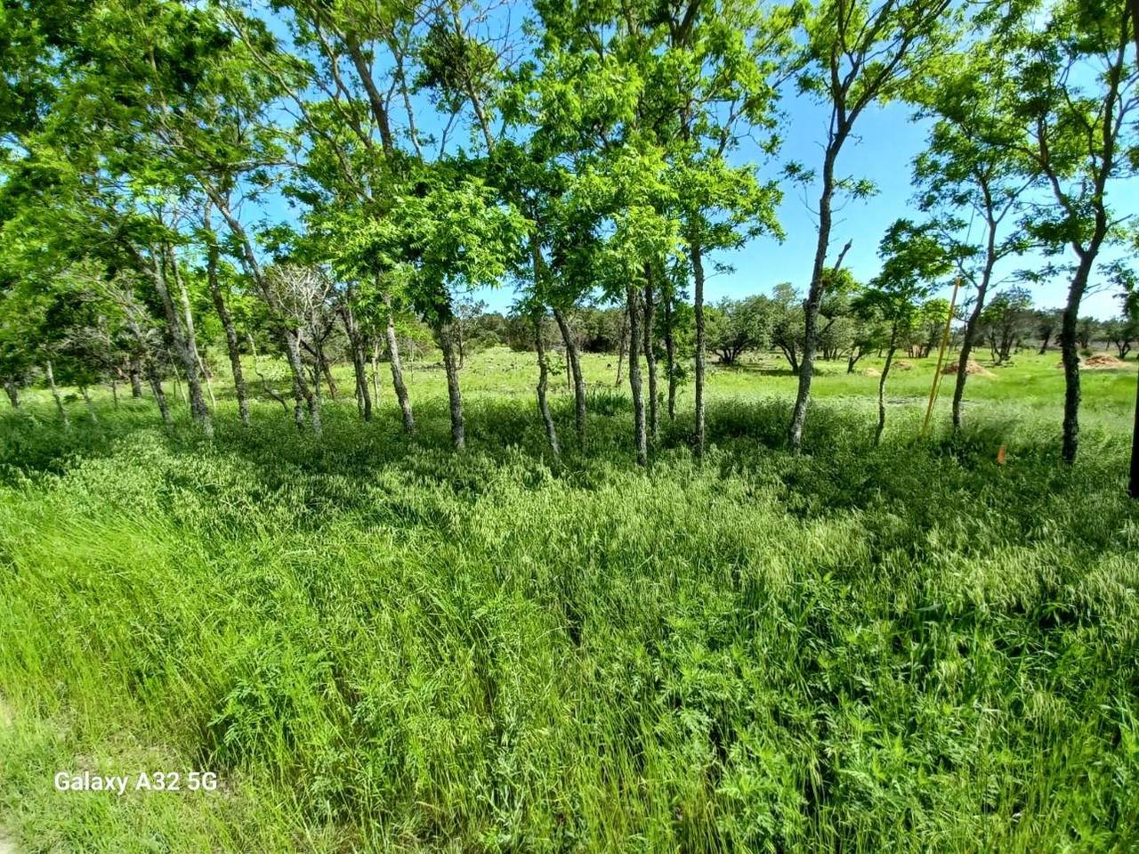 319 Sunset Dr - Photo 1