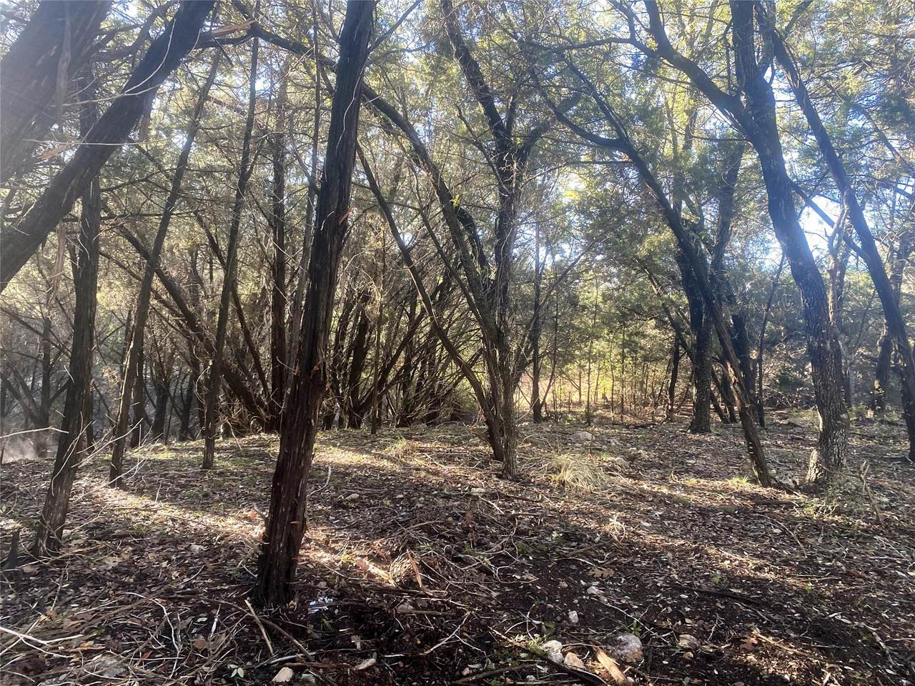 1707 Lipan Trl - Photo 1