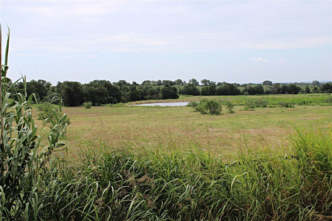 401 County Road 213 - Photo 1