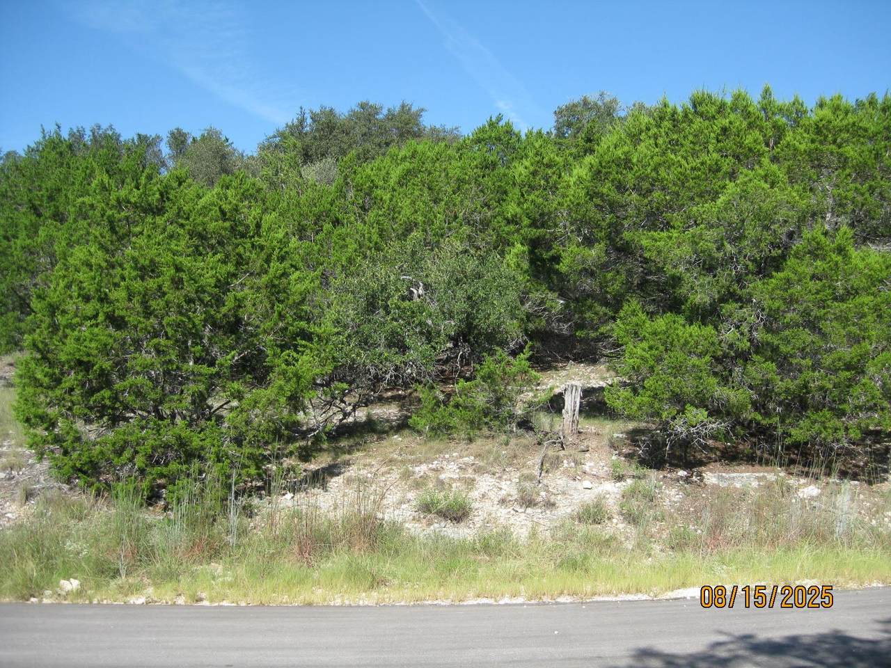 2604 Nevada Cv - Photo 1