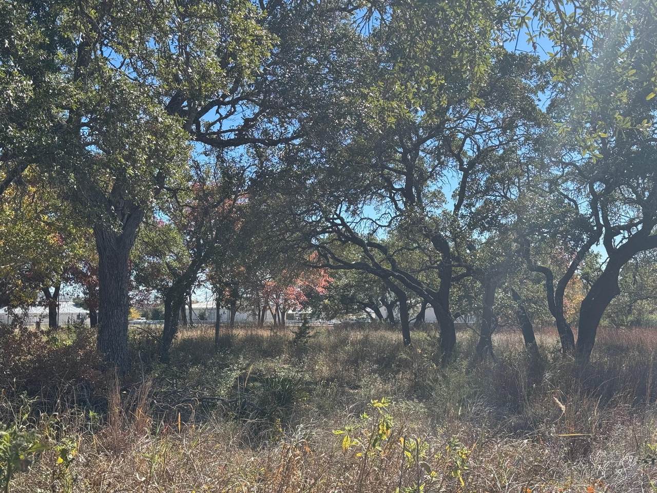 https://bt-photos.global.ssl.fastly.net/austin/1280_boomver_1_6767625-2.jpg