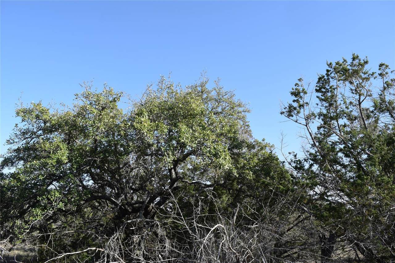 https://bt-photos.global.ssl.fastly.net/austin/1280_boomver_1_6825032-2.jpg