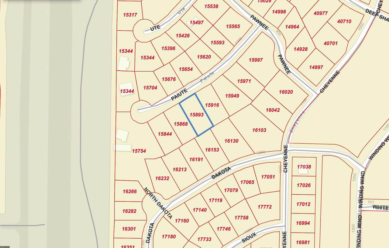 29031 Paiute St - Photo 1