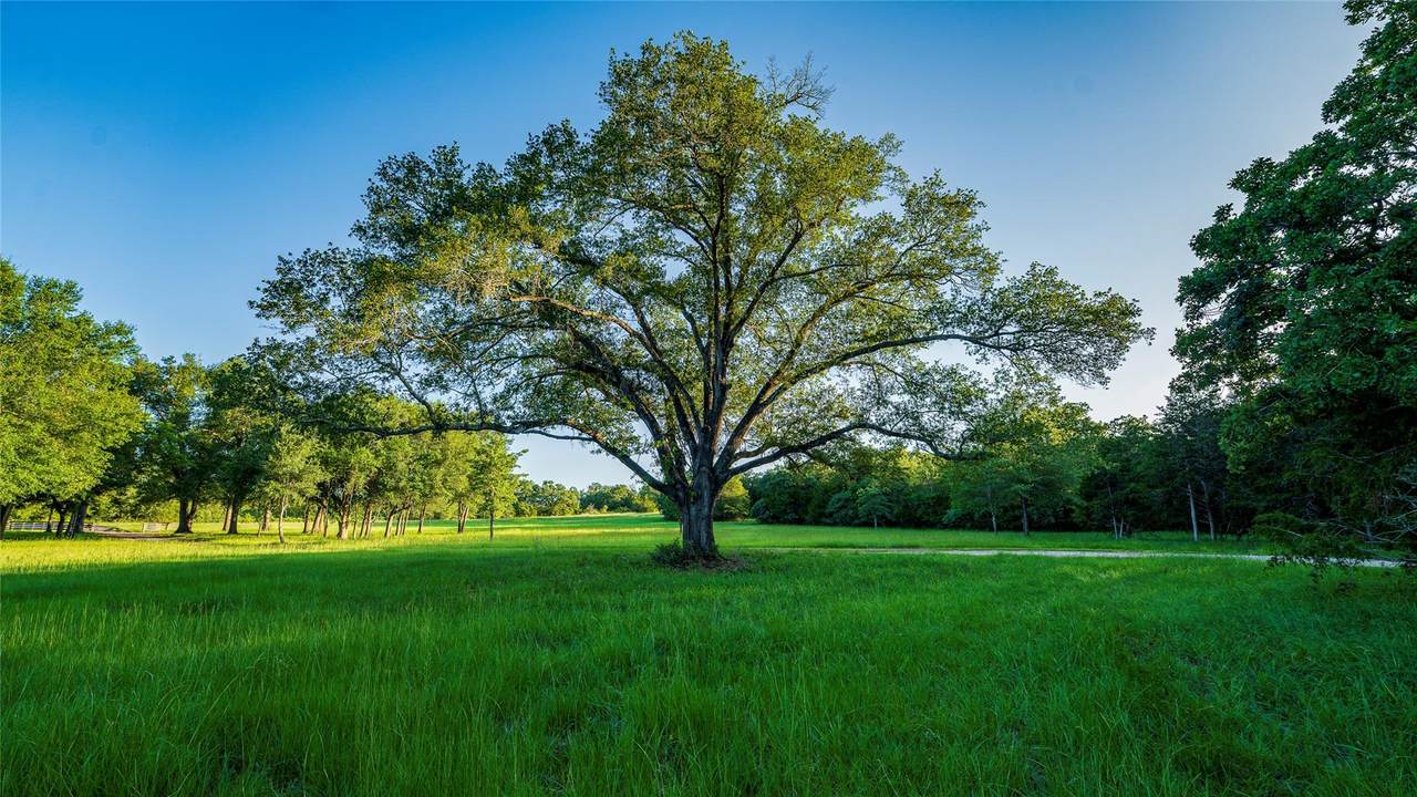 https://bt-photos.global.ssl.fastly.net/austin/1280_boomver_1_7081623-2.jpg