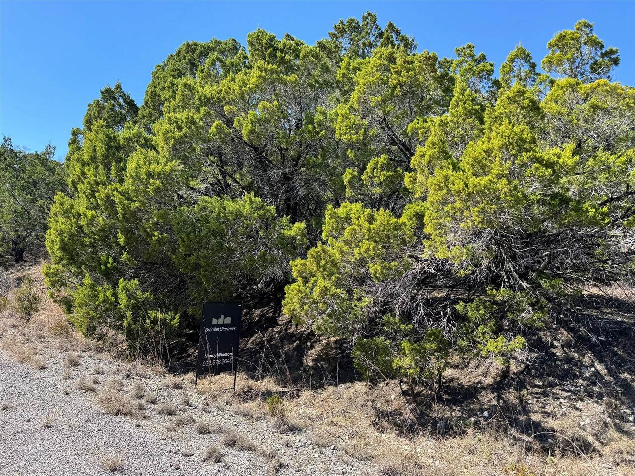 8700 Tegua Cv - Photo 1