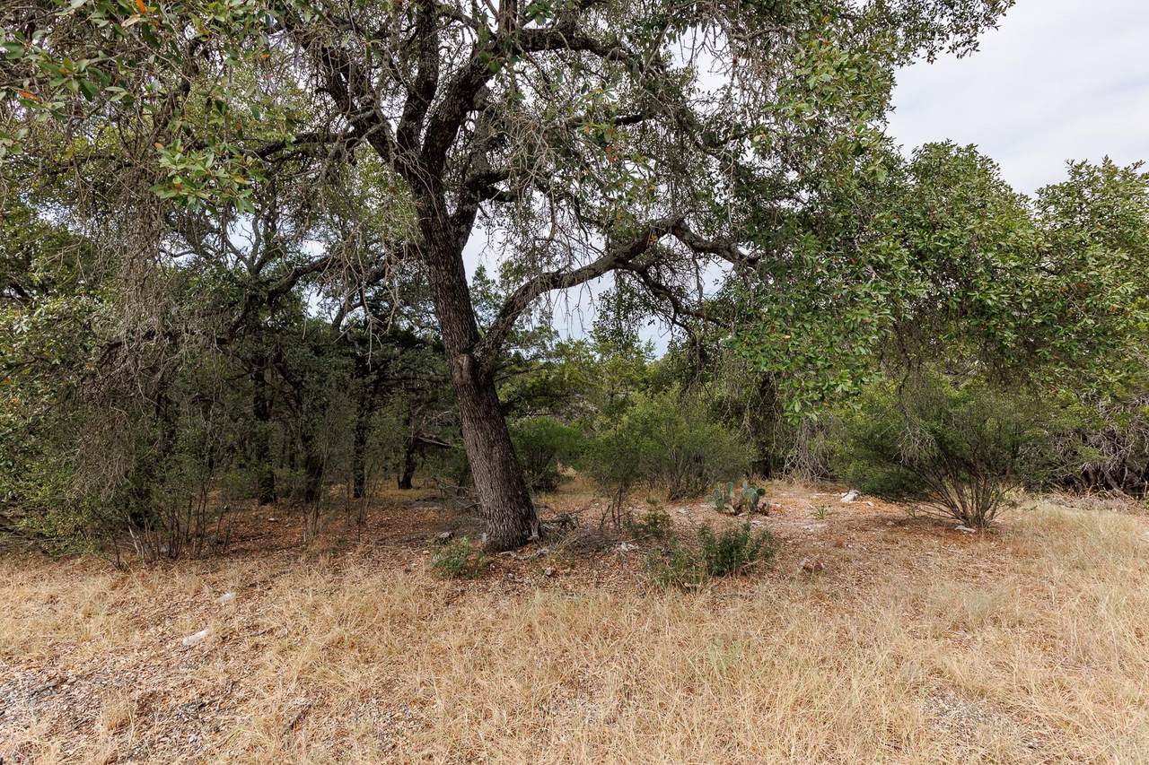 110 Lonestar - Photo 1