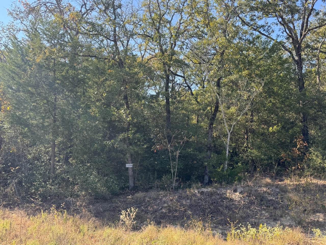 2308 Myrtle Ln - Photo 1