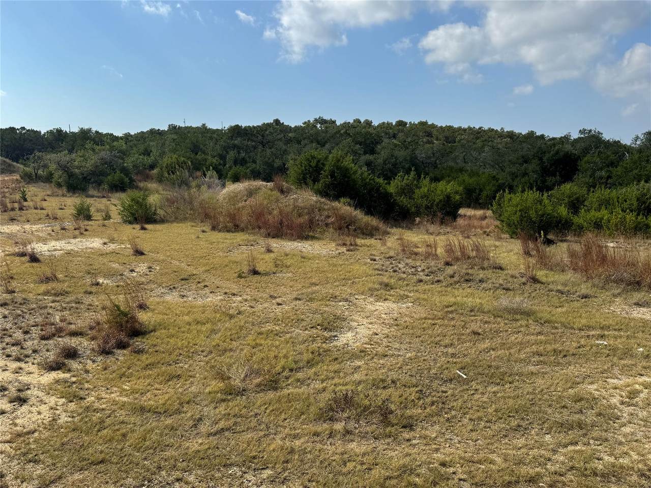 000 Us 290 Highway - Photo 1