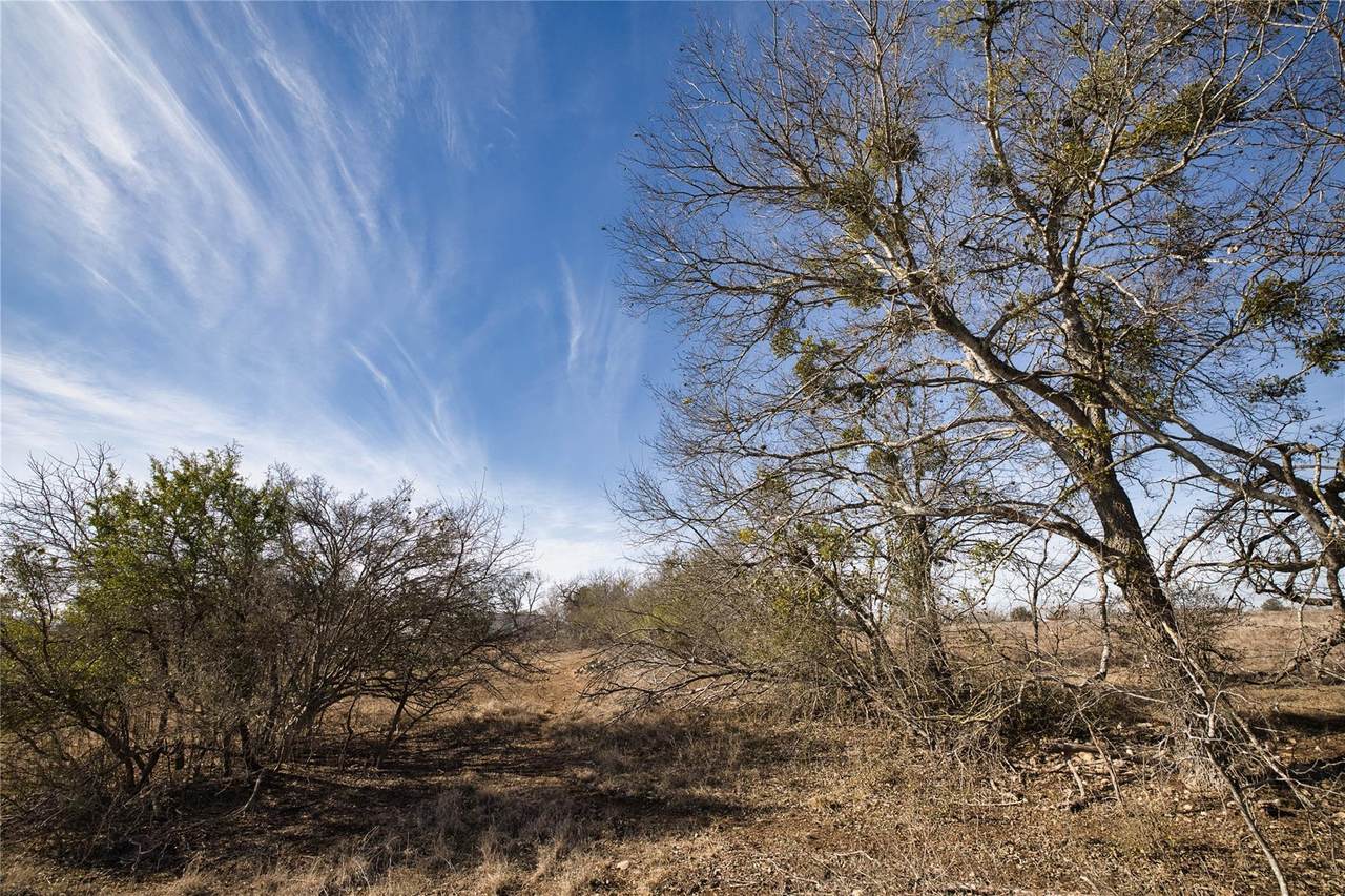 11639 Voges Pass - Photo 1