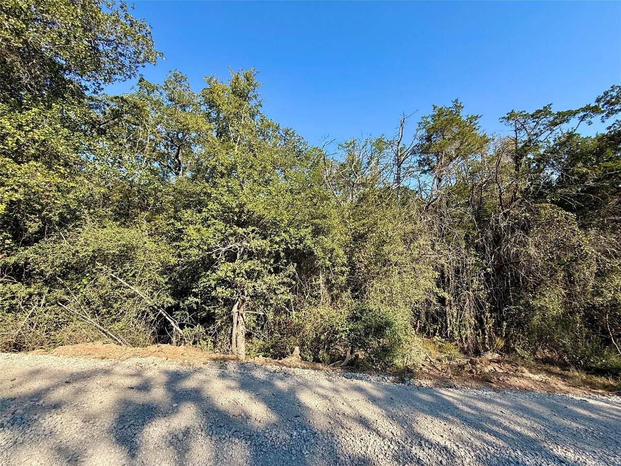 TBD Lot 1233 Hanauma Dr - Photo 1