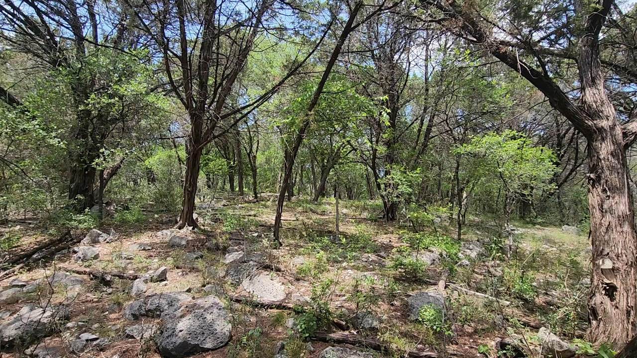 410 Owl Hollow Rd - Photo 1