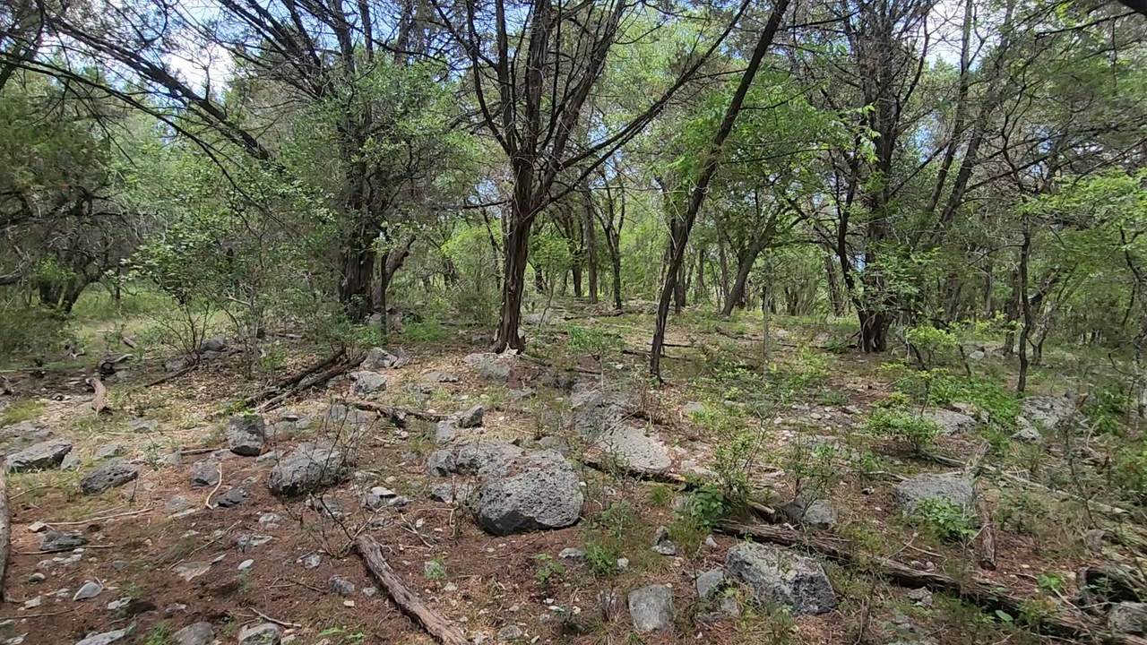 https://bt-photos.global.ssl.fastly.net/austin/1280_boomver_1_7754574-2.jpg