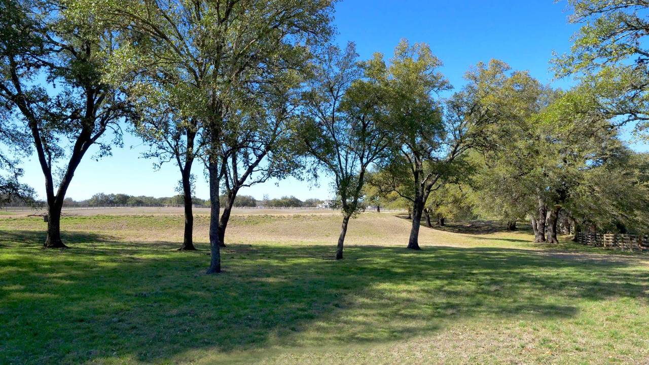 1115 County Road 414 - Photo 1