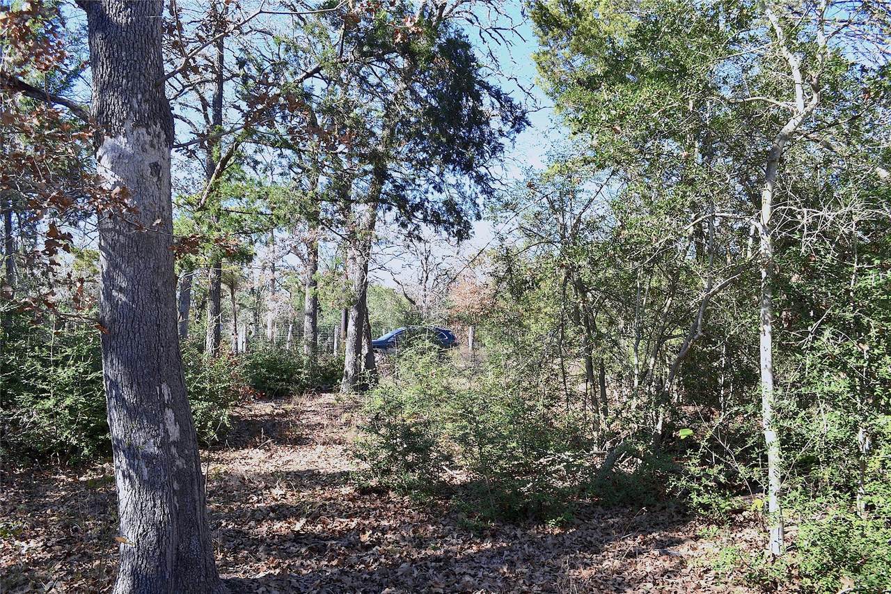 https://bt-photos.global.ssl.fastly.net/austin/1280_boomver_1_8158555-2.jpg