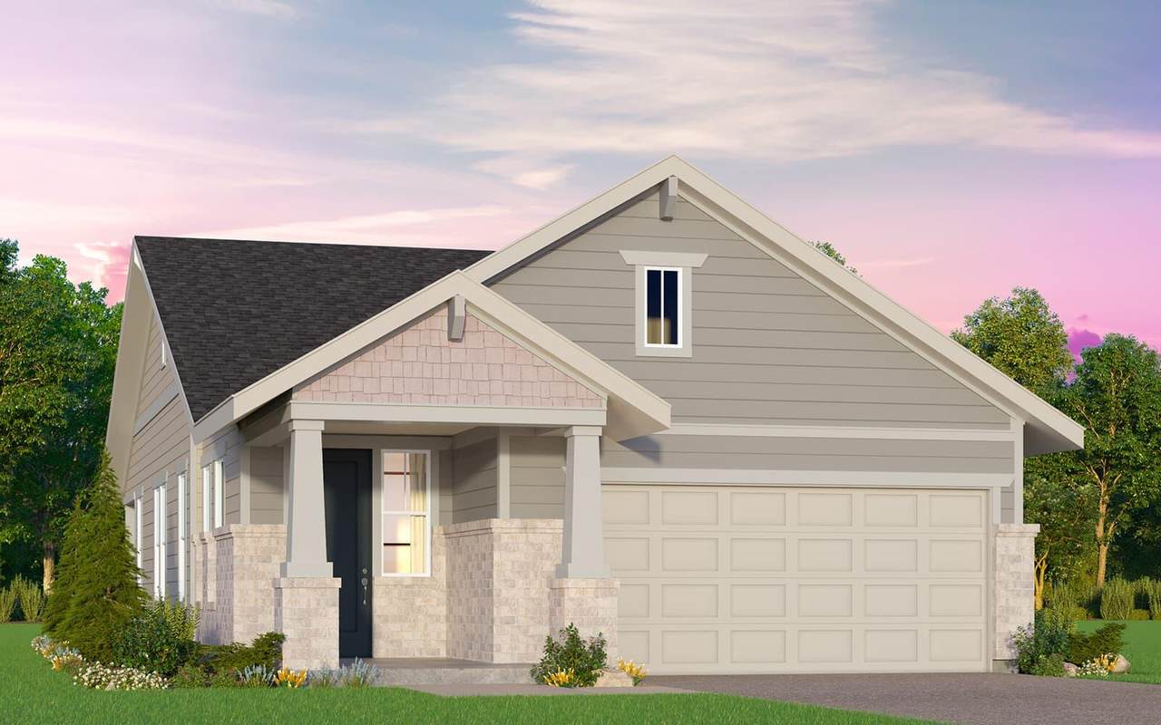 120 Desert Zinnia Cv - Photo 1