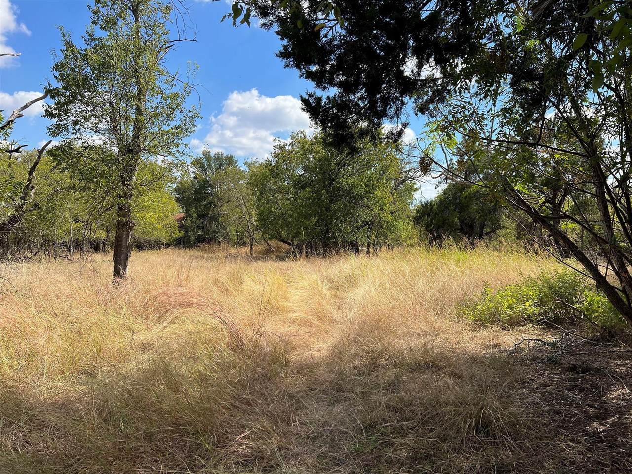 TBD County Road 202 - Photo 1