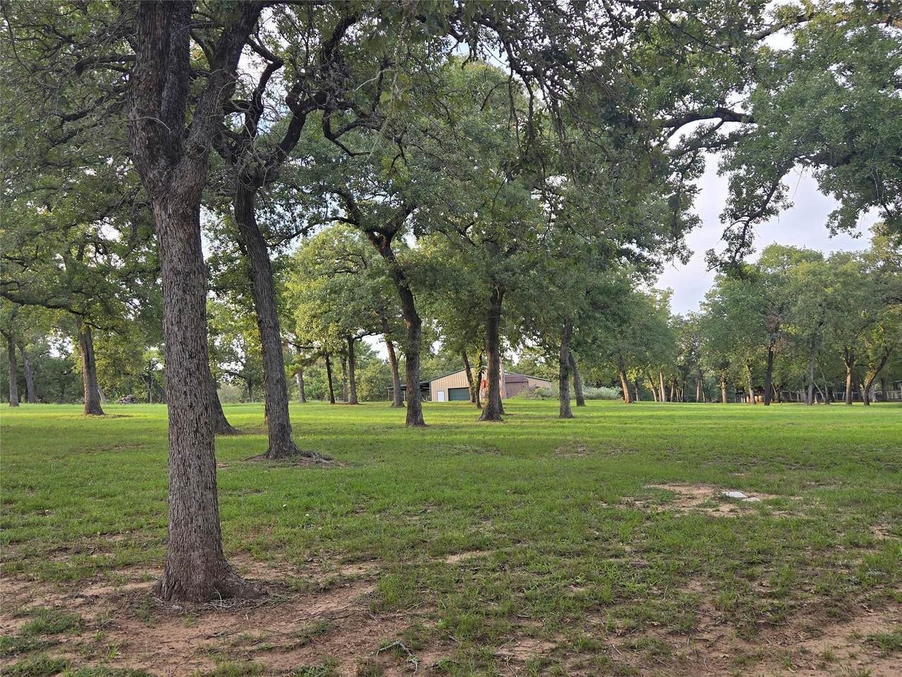 2438 Fm 535 Highway - Photo 1