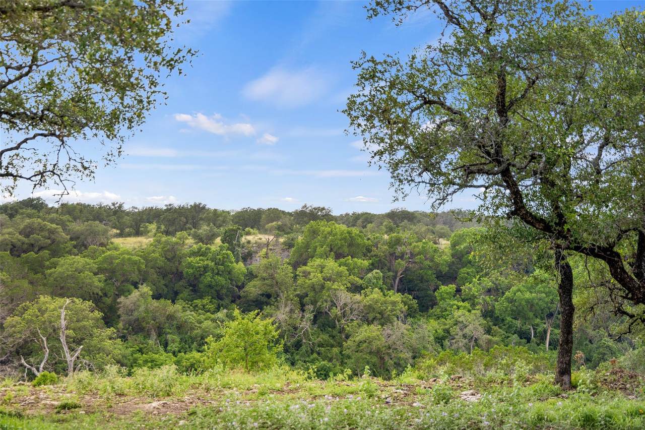 Lot 7 -24525 Pedernales Canyon Trl - Photo 1