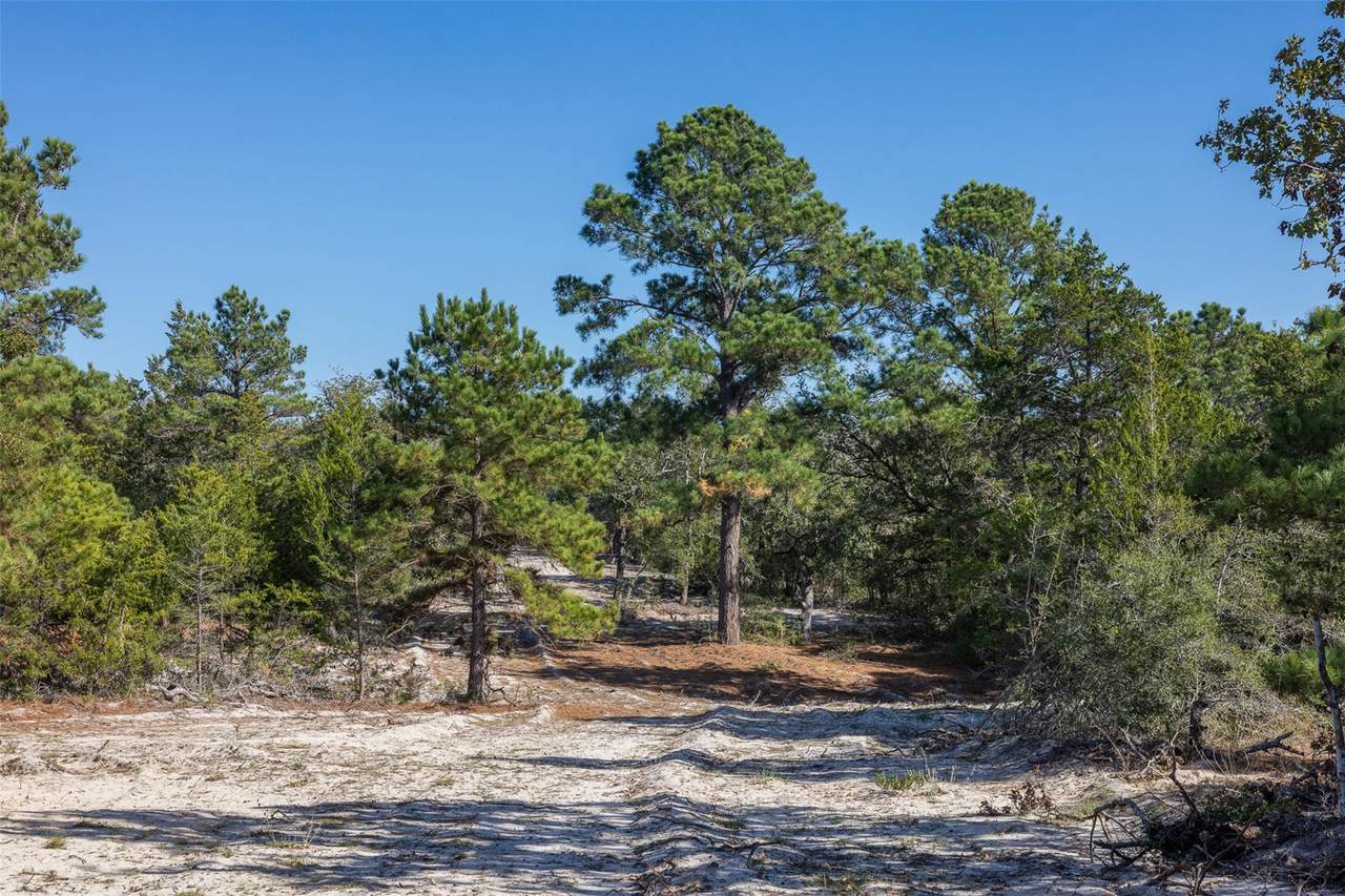 555 Altamira Ln - Photo 1