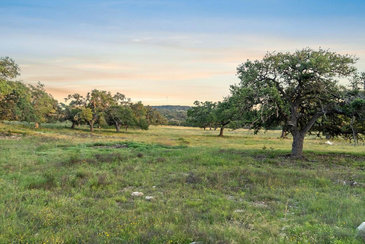 262 Cuesta Pass - Photo 1
