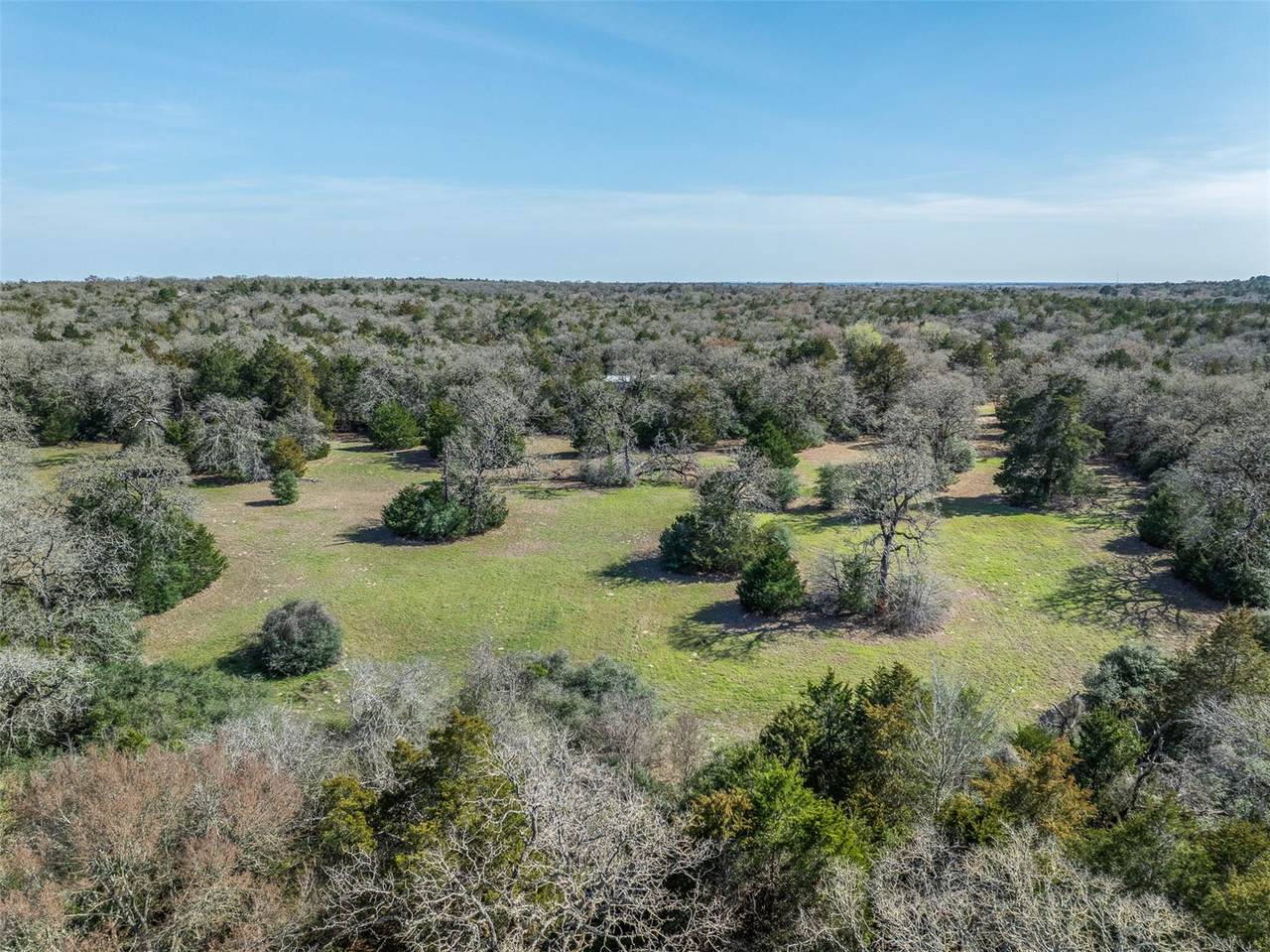 Lot 5 (2.74 Acres) Pauline Ln - Photo 1