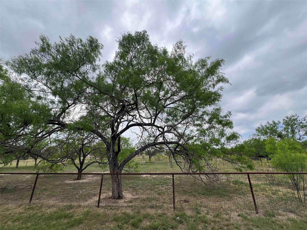 326 County Road 144B - Photo 1