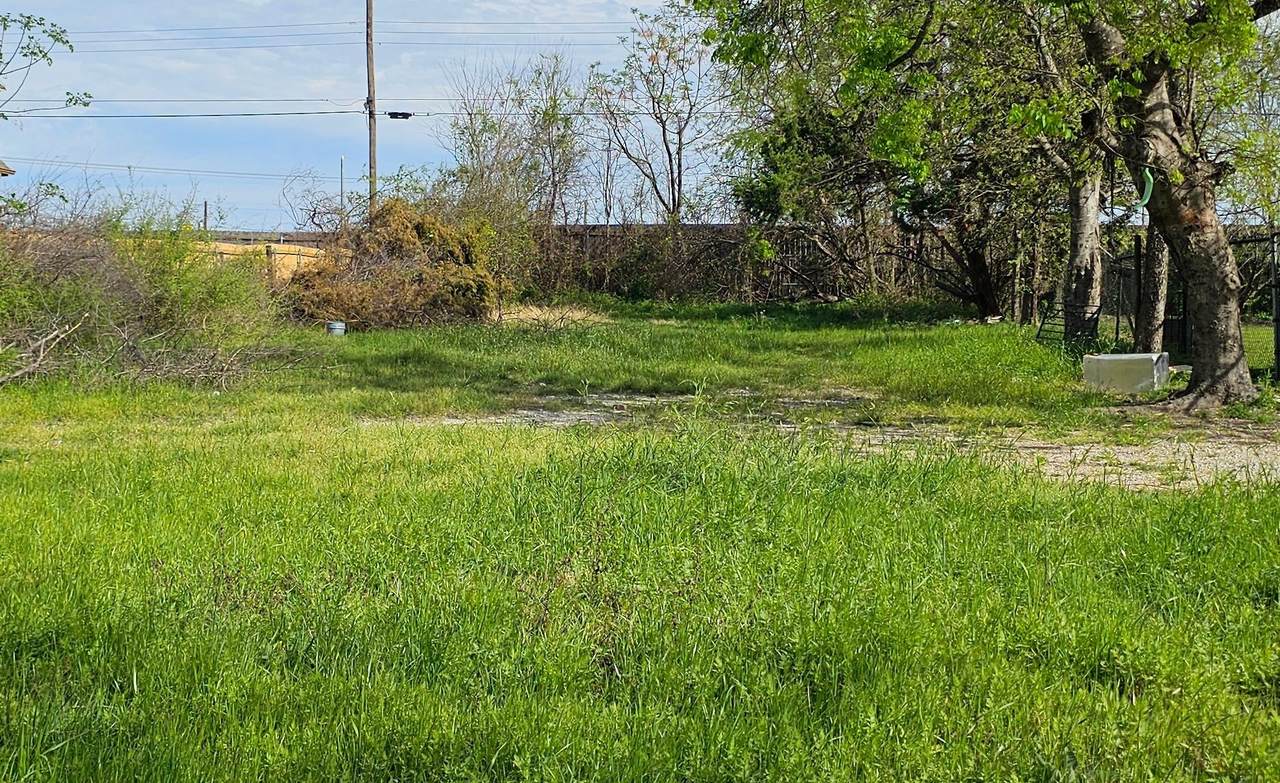 10601 Brownie Dr - Photo 1