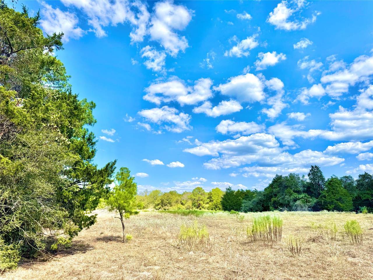 TBD 50.62 Acres Rabel Rd - Photo 1