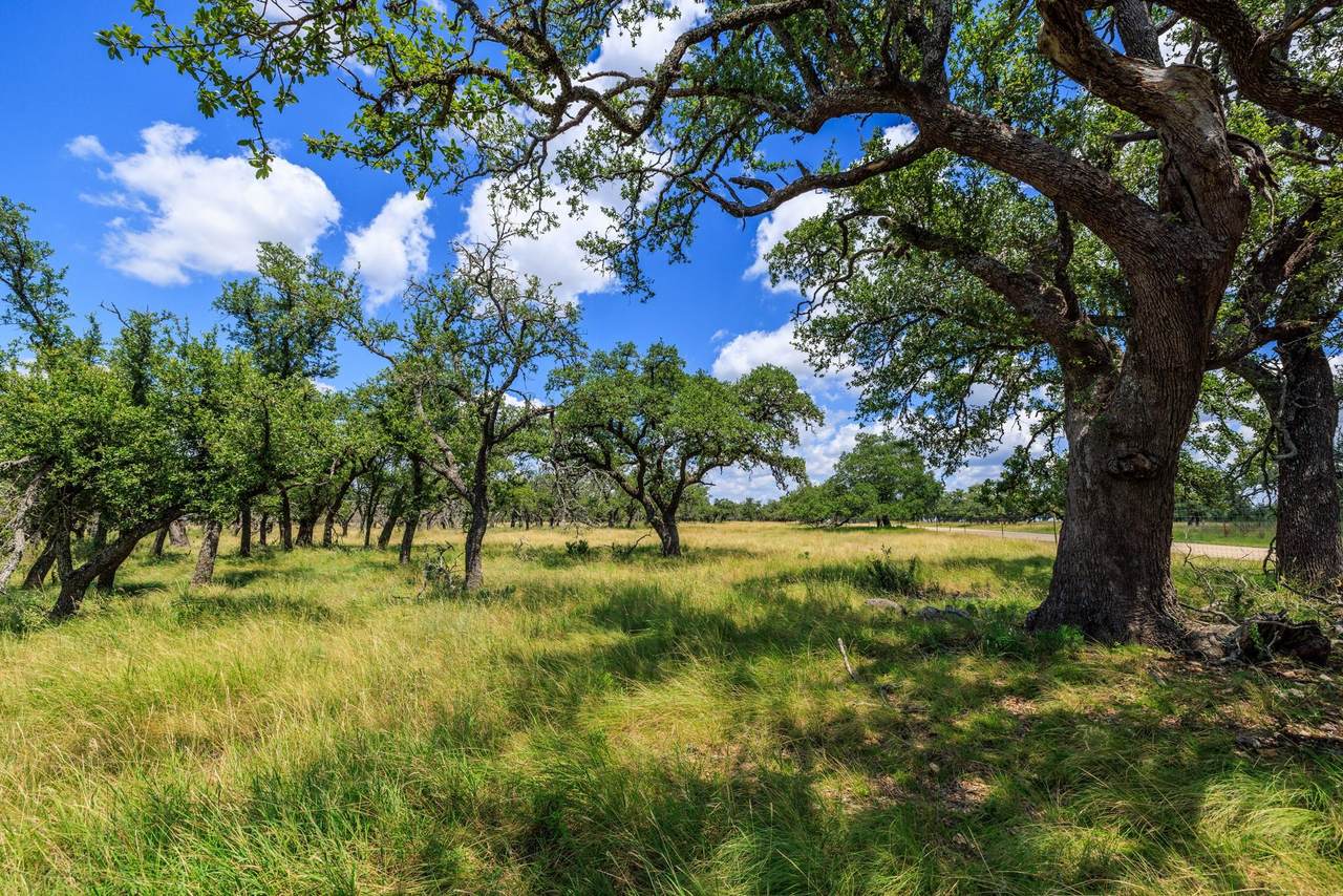 Lot 88 Stock Pond Dr - Photo 1