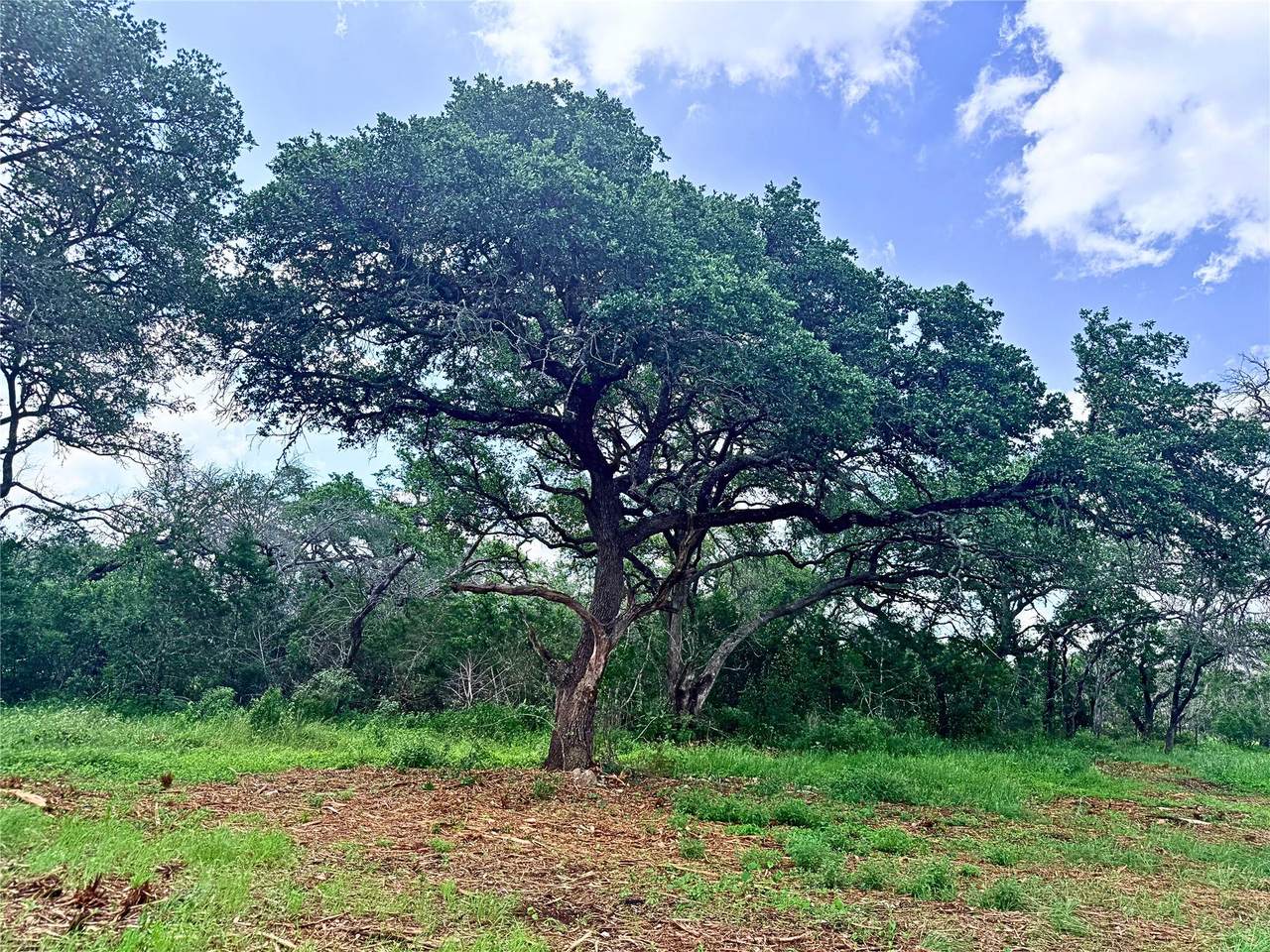 https://bt-photos.global.ssl.fastly.net/austin/1280_boomver_1_8649564-2.jpg